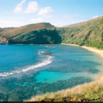 ハレ　ポオラ16